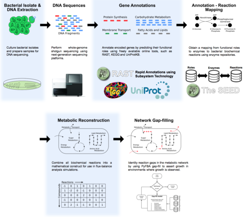 Genomics and Modeling